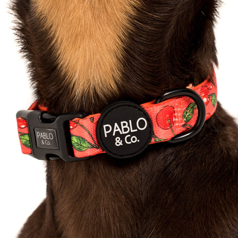 Pablo & Co. CHERRY Collar